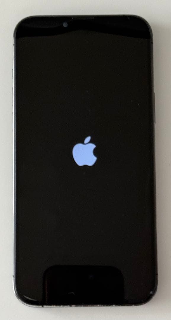 iPhone13 ProMax 256GB SIMフリー　おまけケース付き