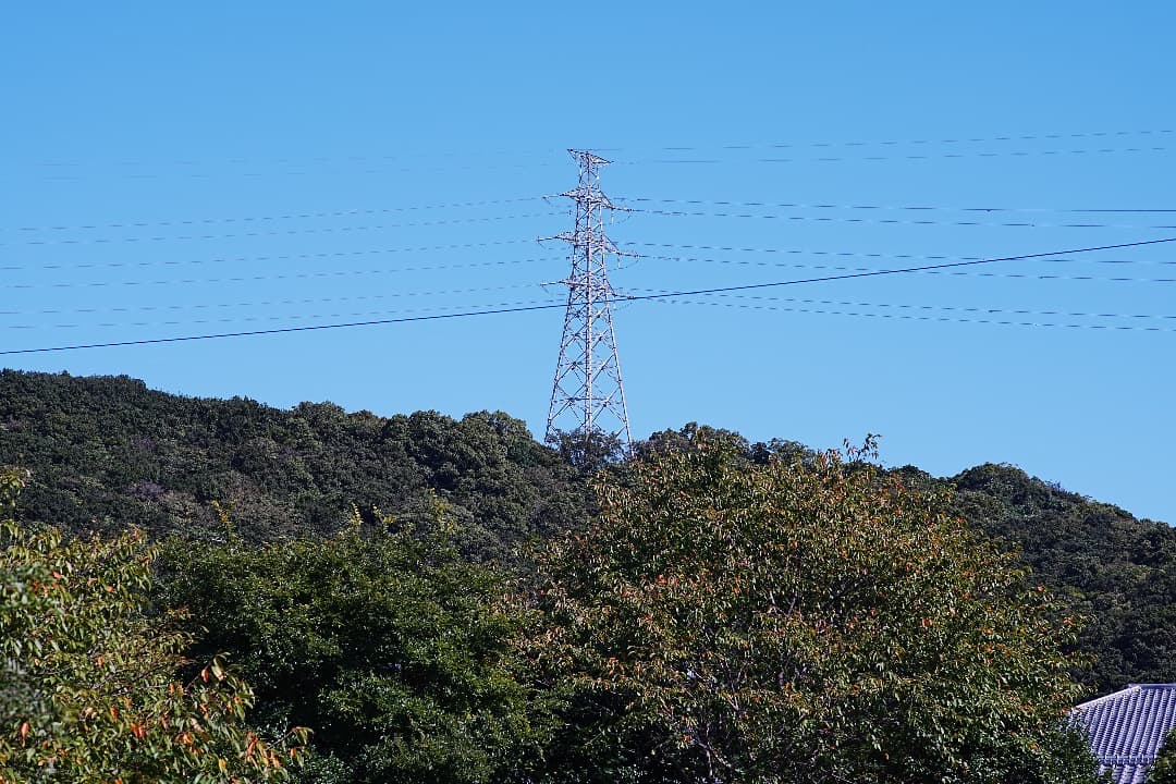 レンズ(単焦点) Carl Zeiss Planar 85mm F1.4 AEG 432