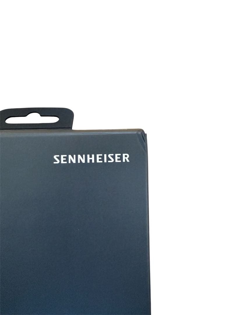 SENNHEISER IE200（ゼンハイザー イヤホン）