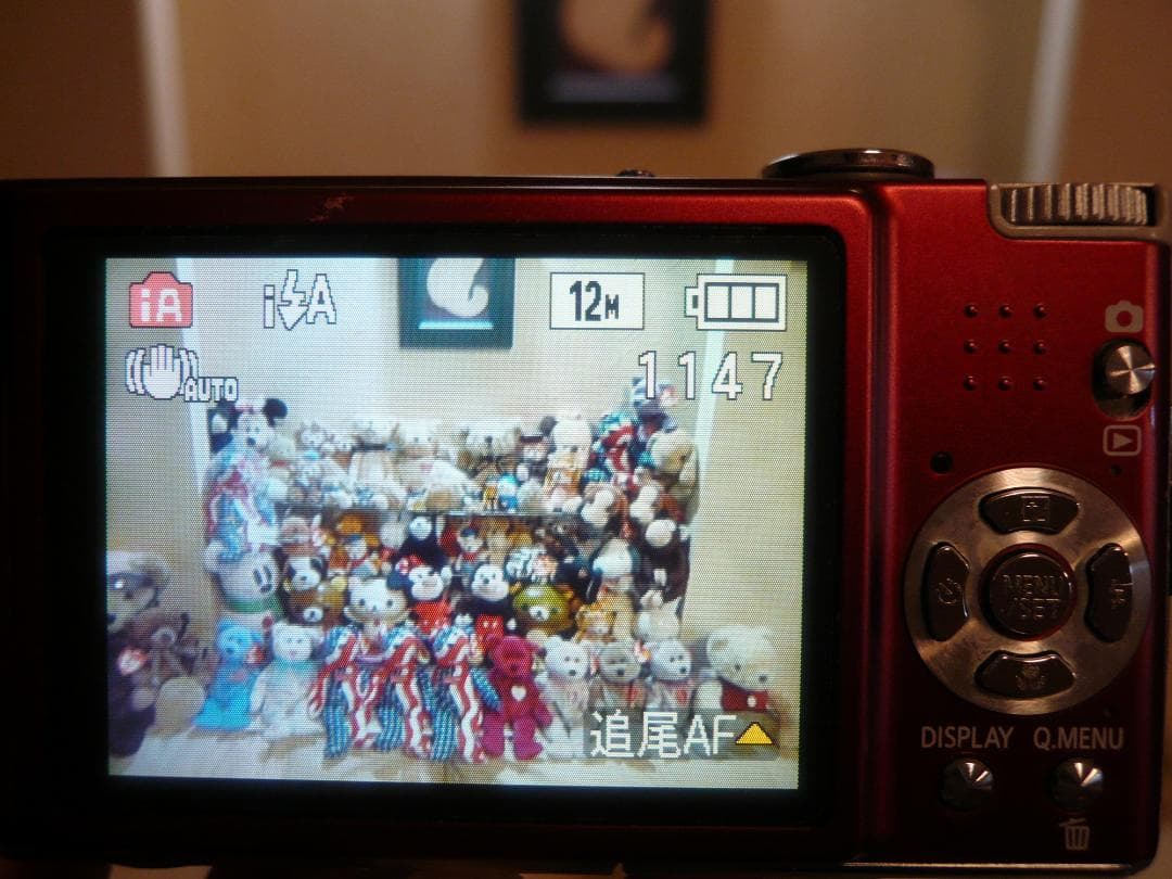 LUMIX★DMC-FX40⭐️レッド⭕️安心の実働品★5倍ズーム1210万画素