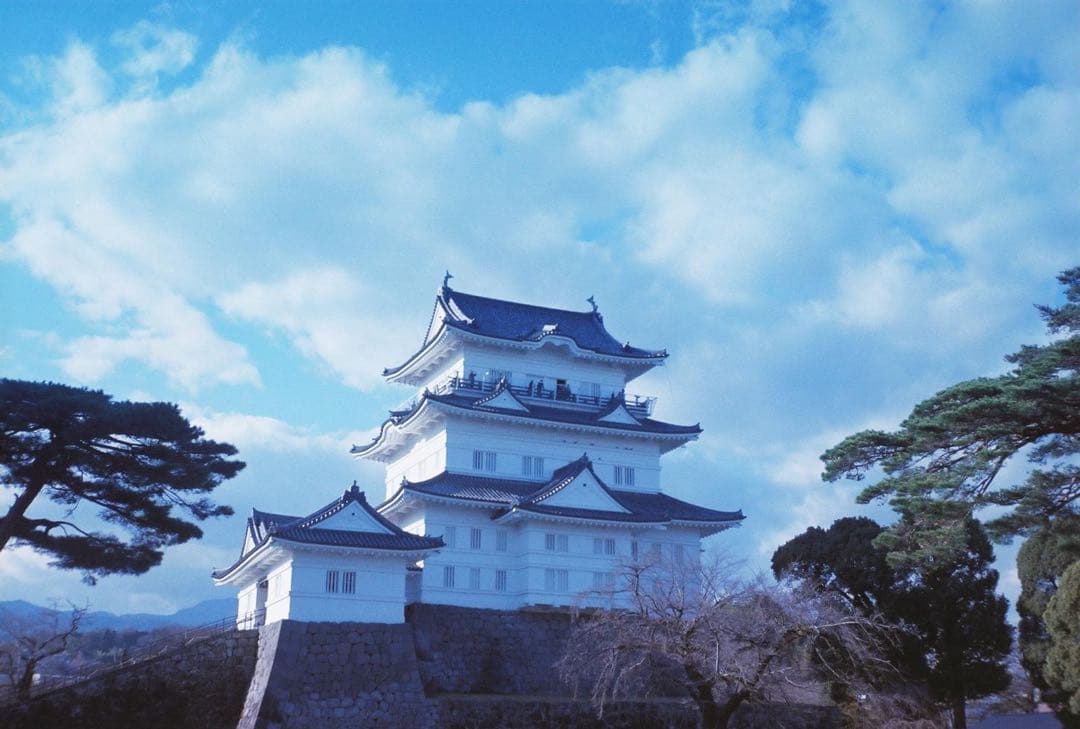 [#206] オリンパス OLYMPUS TRIP 35