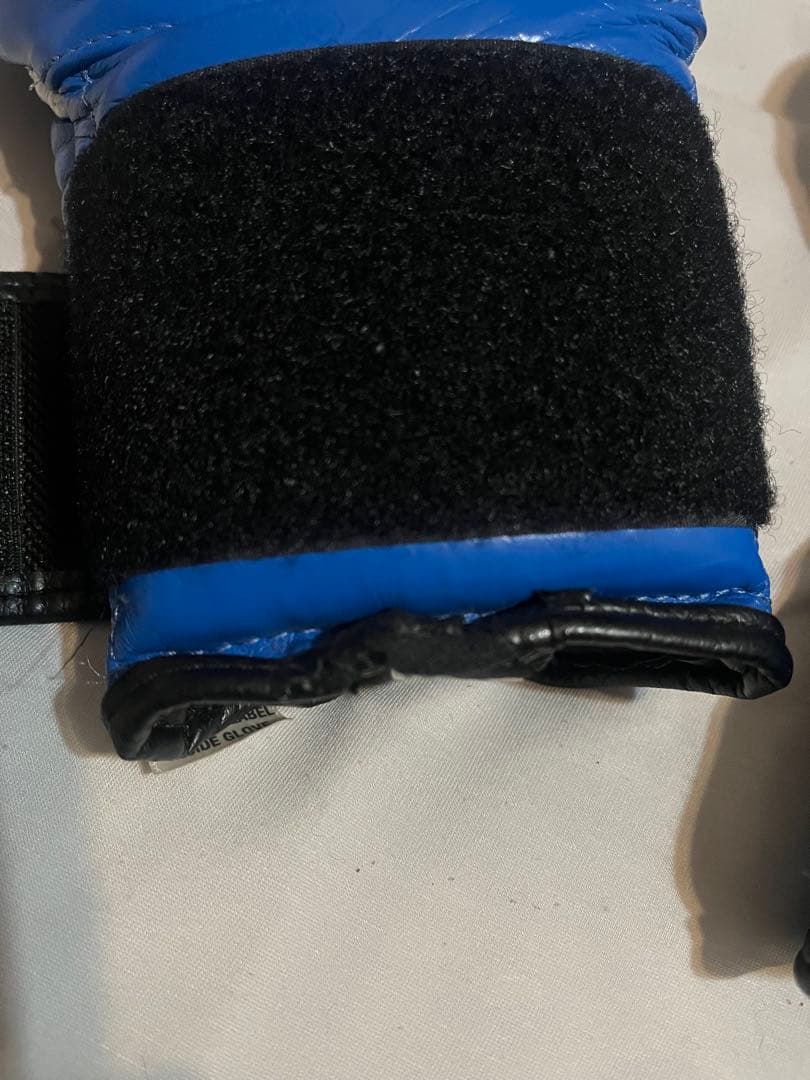 レイジェス ボクシンググローブ