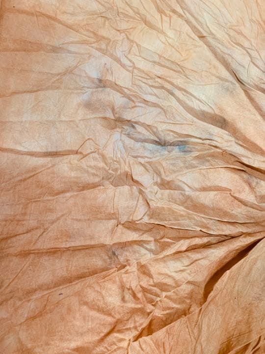 撮影用ムラ布バック3m✖︎6m