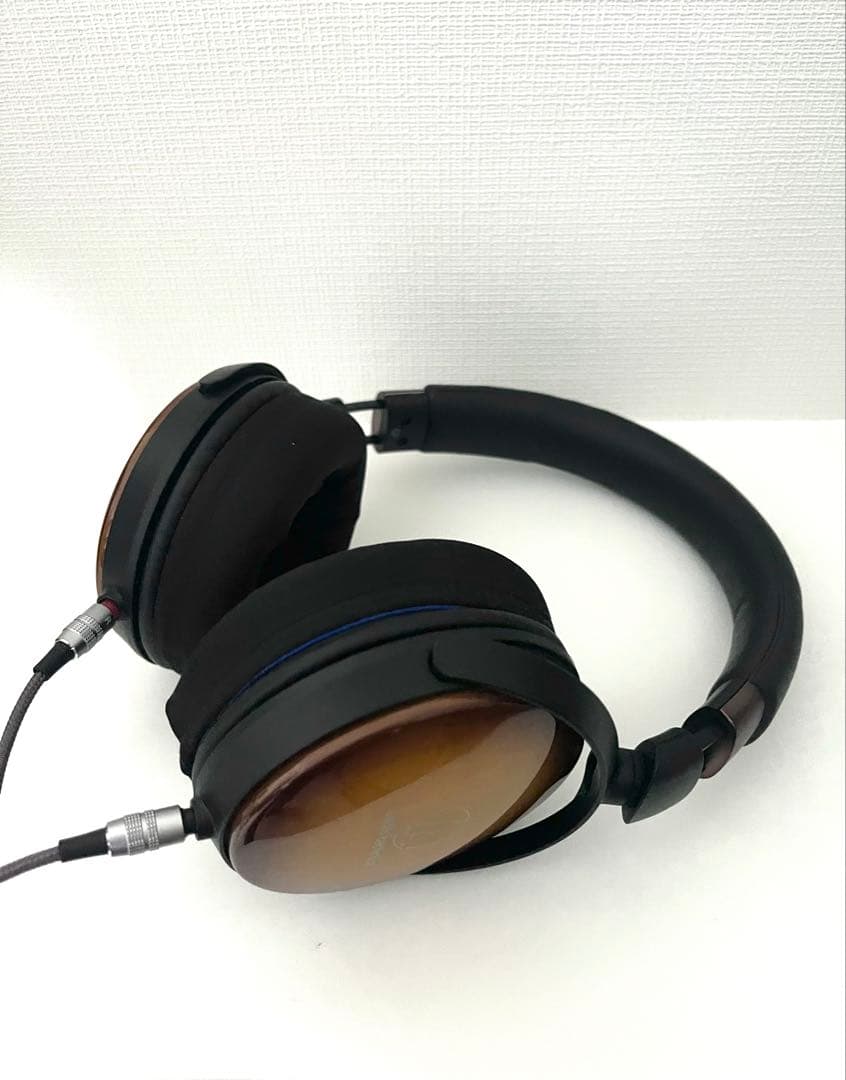 ATH-WP900 （EarProfit PERFORM付き）