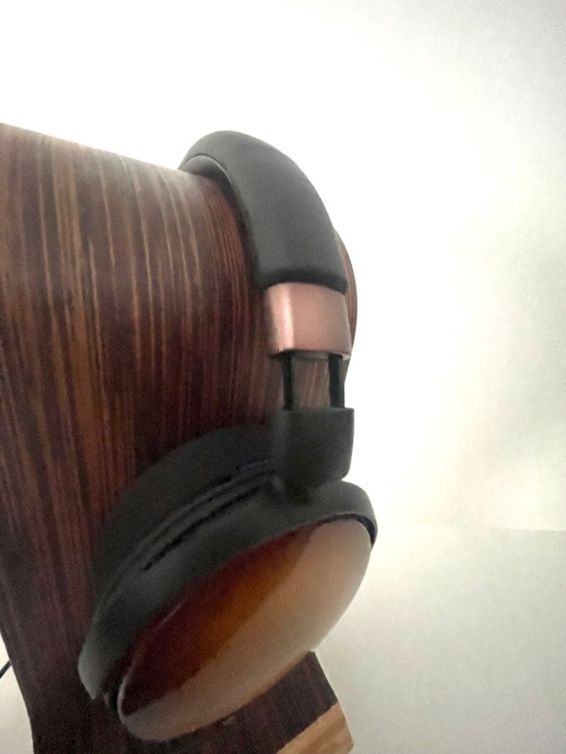 ATH-WP900 （EarProfit PERFORM付き）