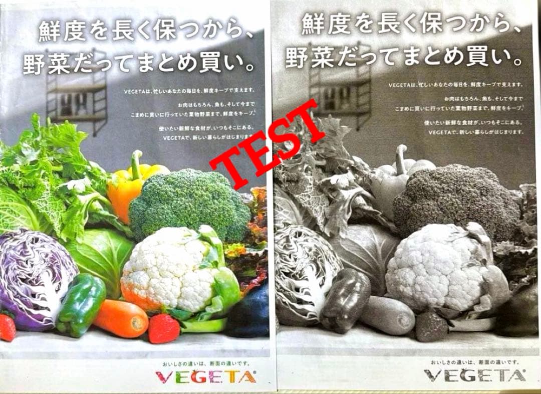 CANON PIXUS XK110インクジェットプリンター