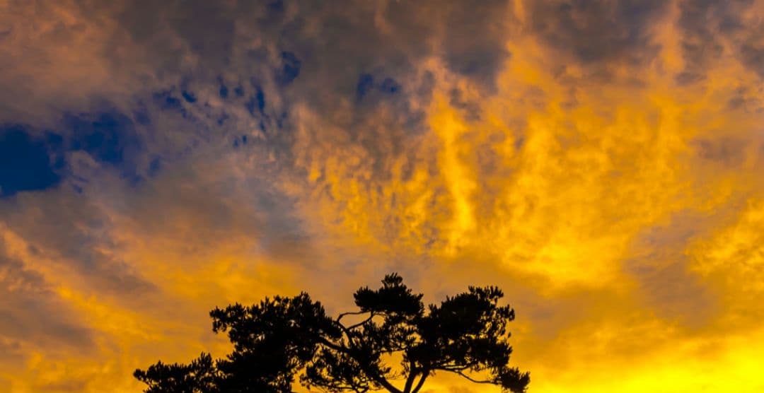 CANON　EOS　KissX 初心者　おまけ超望遠レンズ　一眼レフ　キャノン