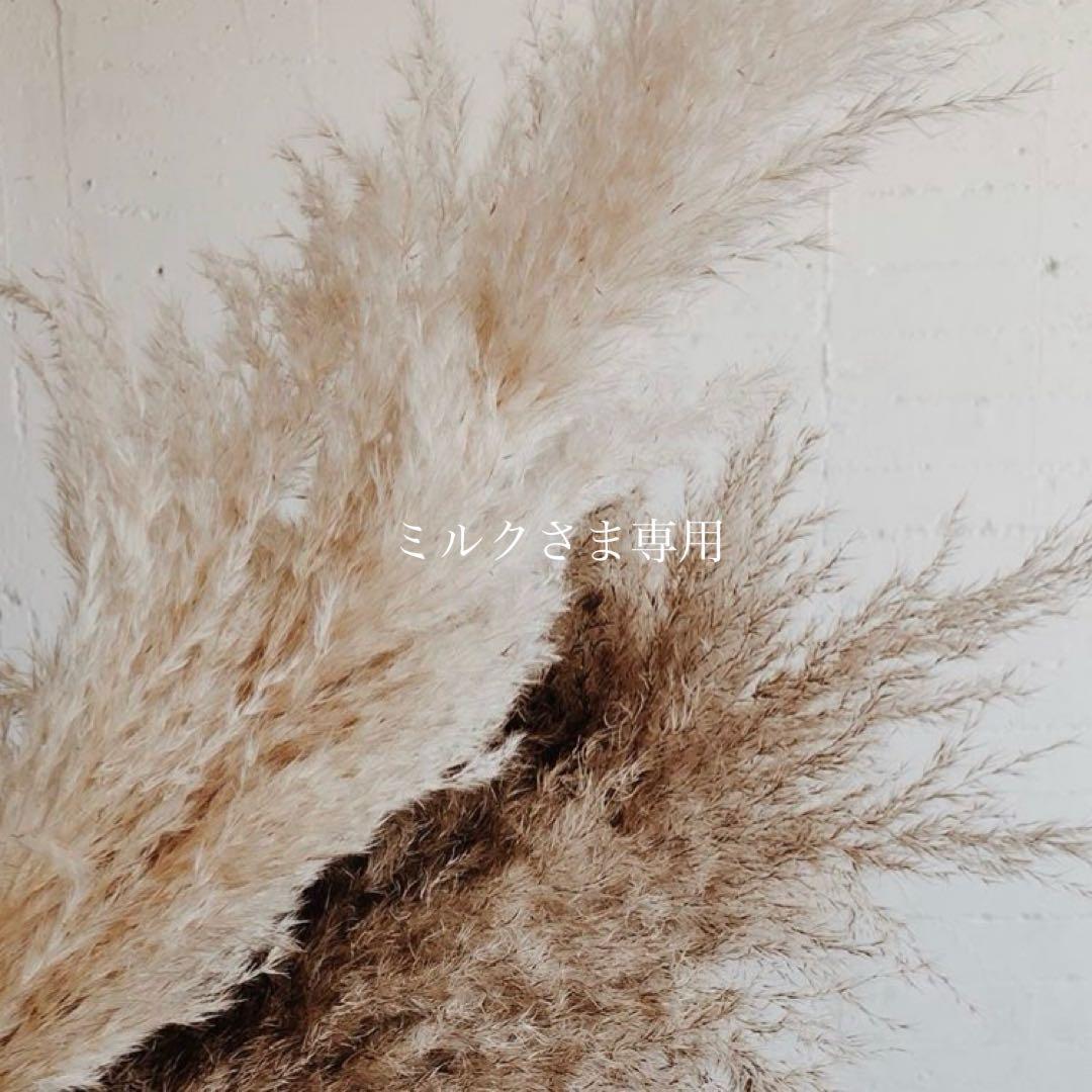 ミルクさま専用