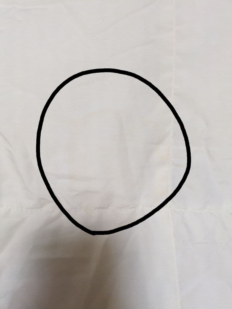 羽毛掛け布団 セミダブル 日本製 ダウン90%フェザー10%