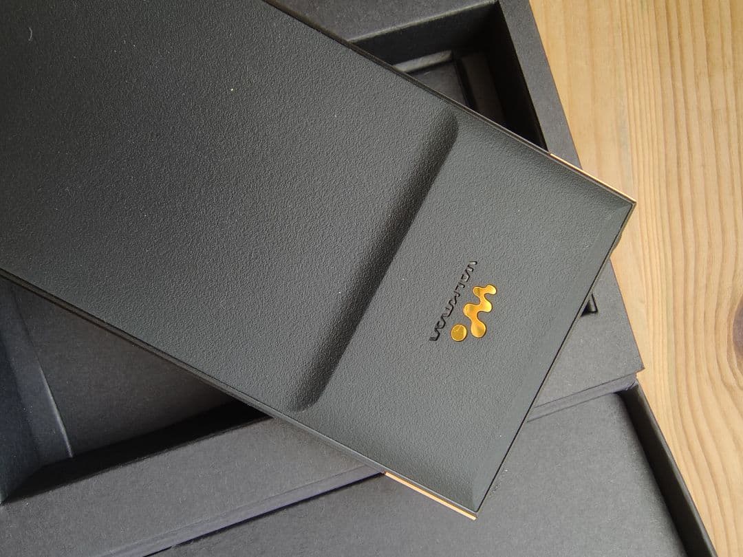 SONY NW-ZX707 C WALKMAN 23年モデル 純正皮革ケースも