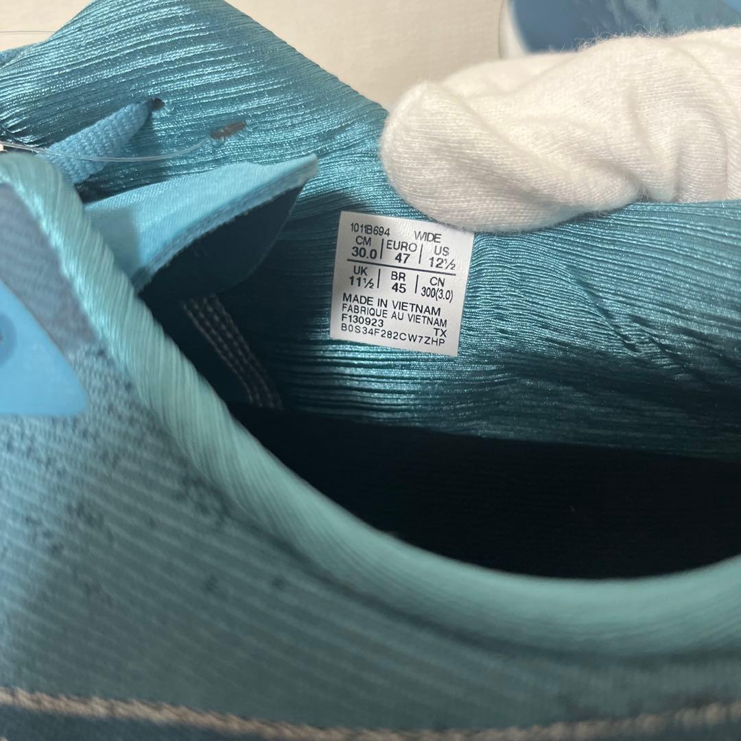 【新品】アシックス　NOVABLAST 4 Wランニングシューズ 30cm