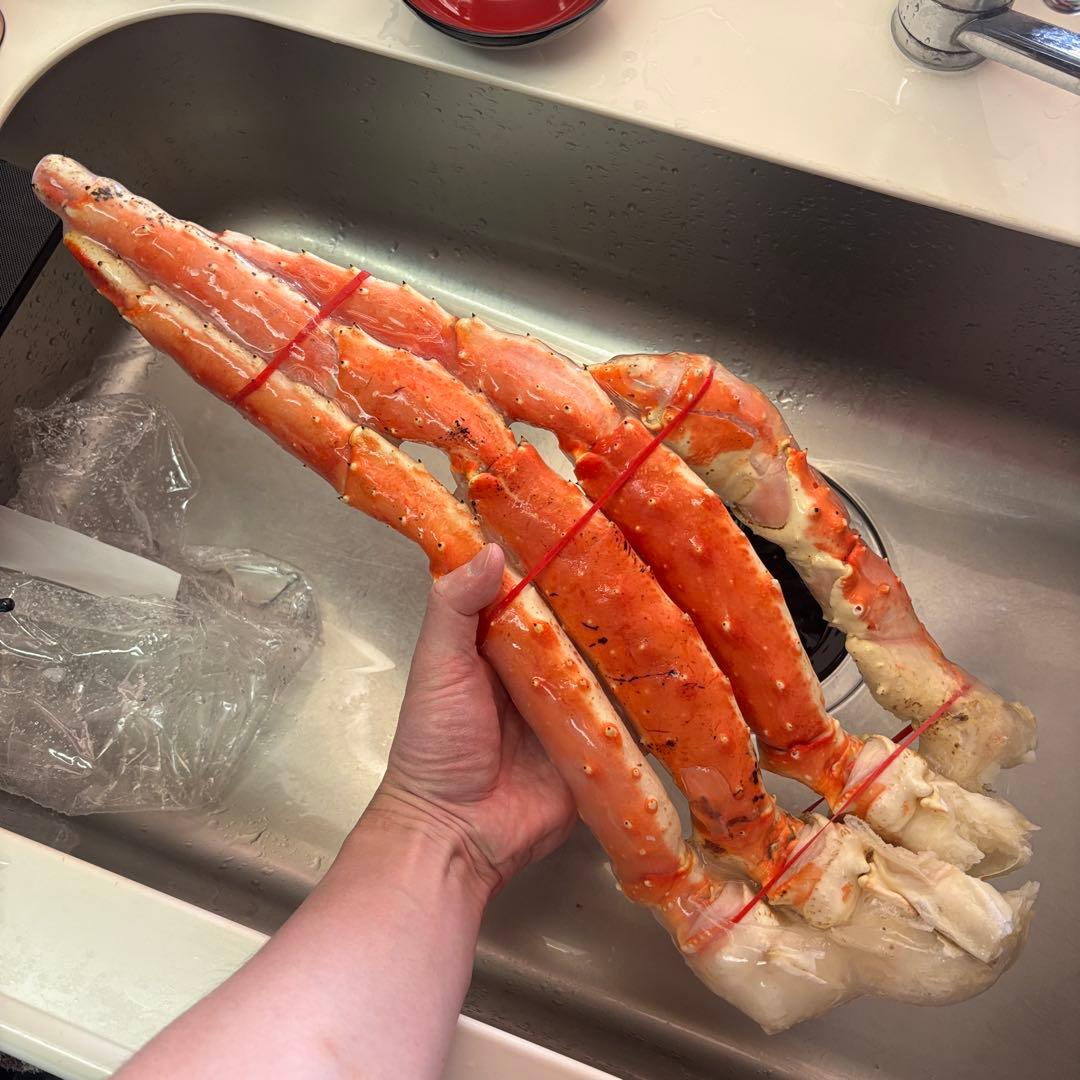 9Lタラバガニ×2肩