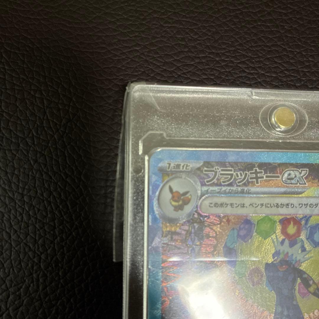 ポケモンカード ブラッキー EX SAR テラスタルフェス 美品