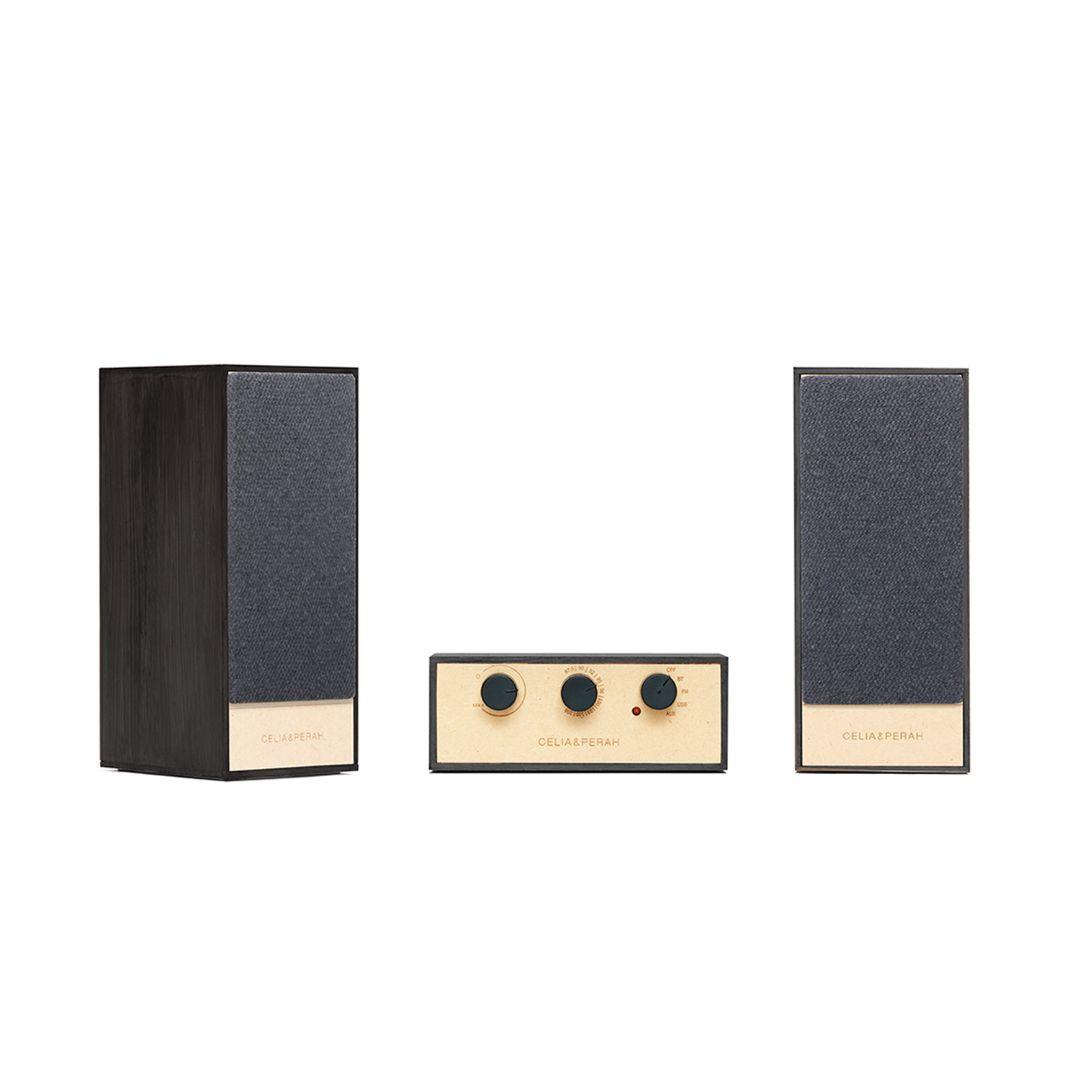 【台湾メーカー製】CELIA&PERAH R4 DIYオーディオシステム