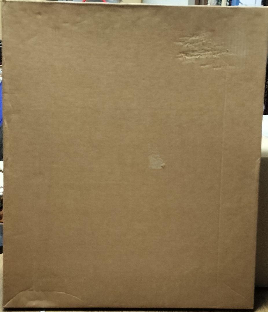 u*2様 マルク・シャガール レビ族 リトグラフ