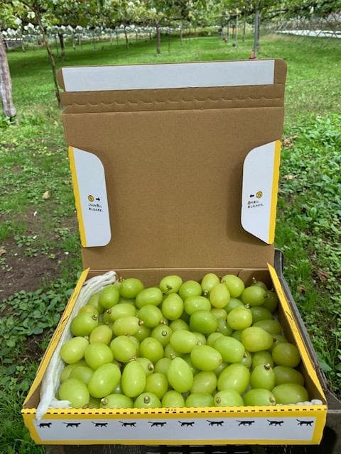 チル様向け商品　　ヤマト便(常温)送料込み　8,300円