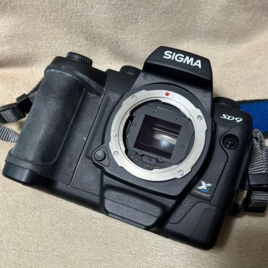 SIGMA SD9 + AF 17-35mm aspherical SAマウント