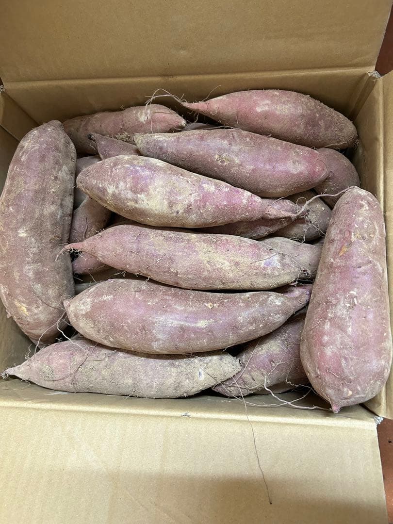 熟成紅あずま さつまいも 大分県豊後大野市超熟成紅あずま20kg