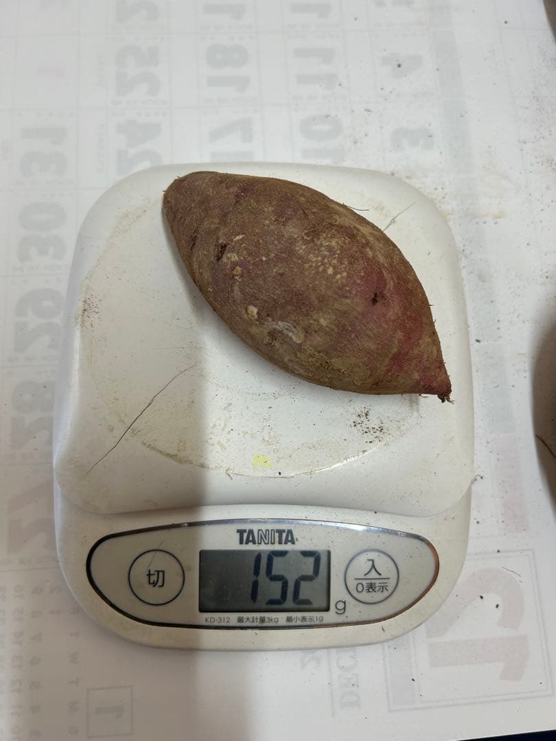 熟成紅あずま さつまいも 大分県豊後大野市超熟成紅あずま20kg