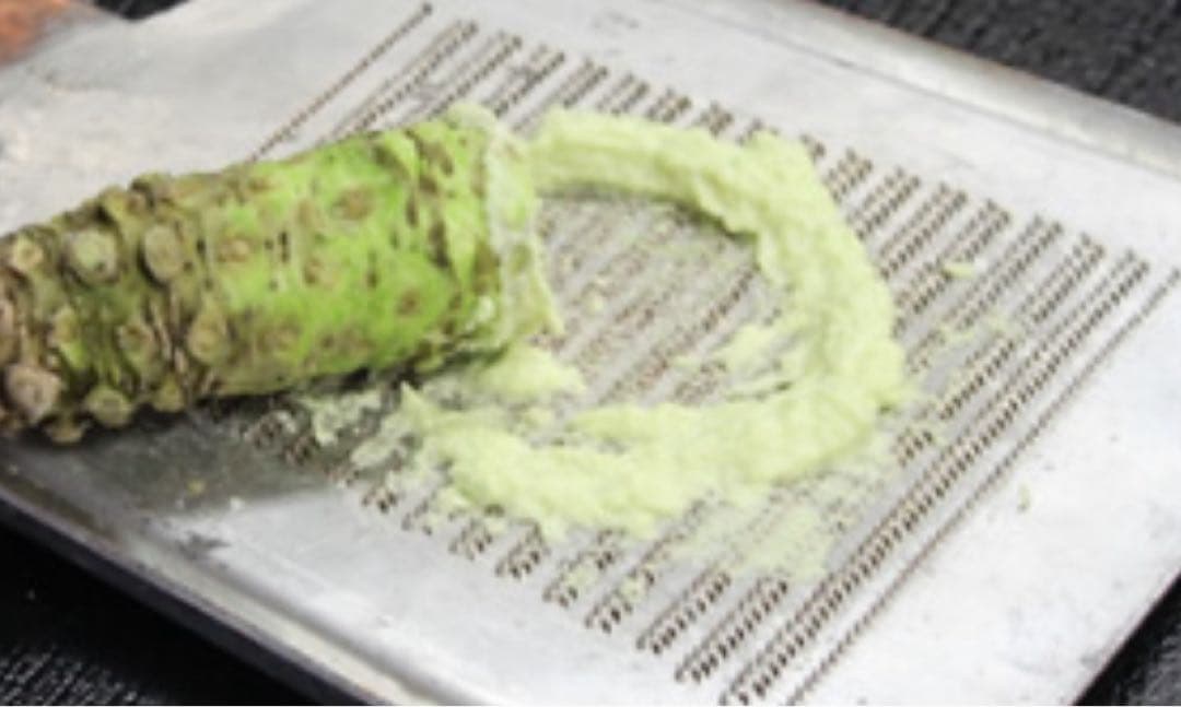 安曇野産 本生わさび 約1kg 不揃い 業務用 採れたて 直送