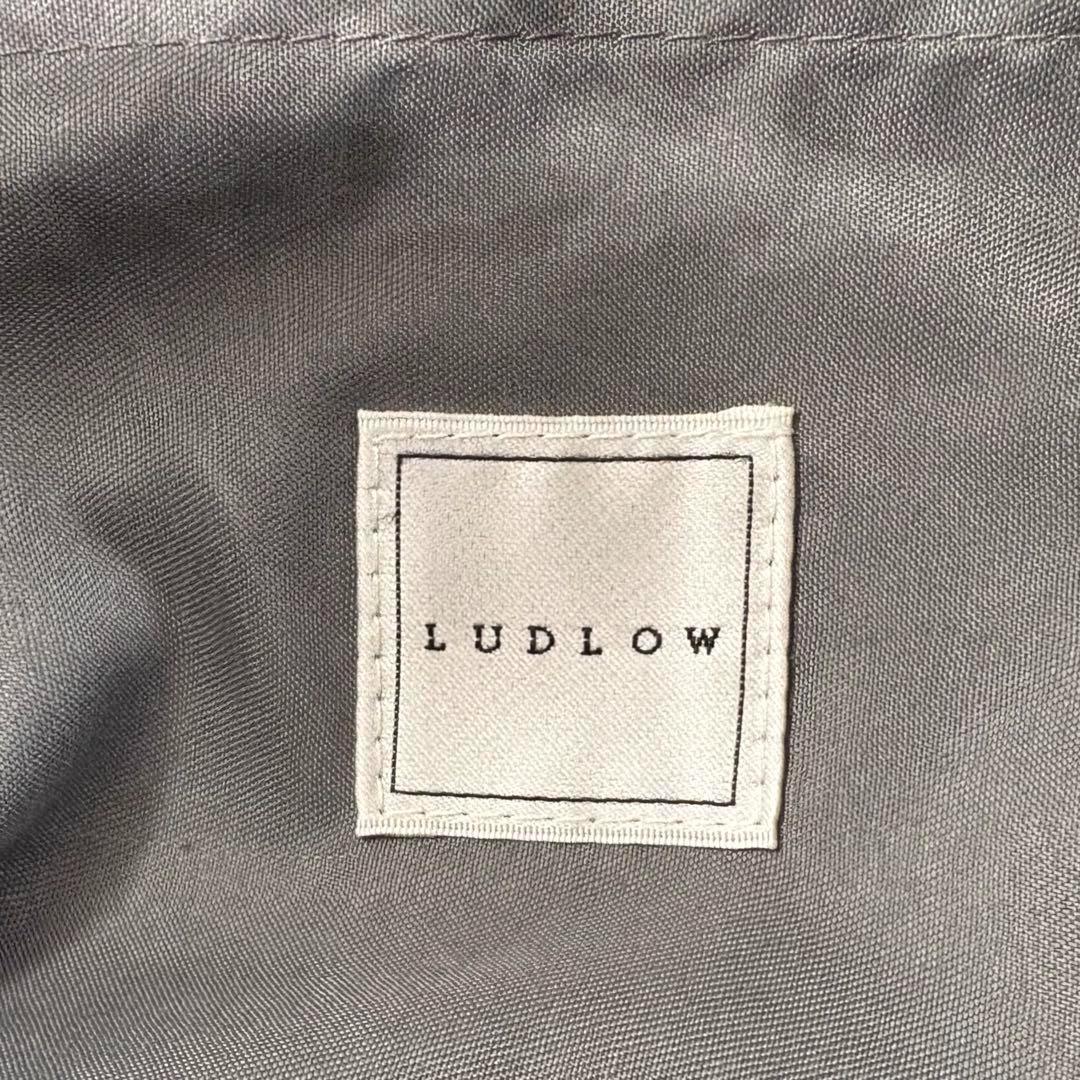 LUDLOW　ラドロー　スワン　コードバッグ