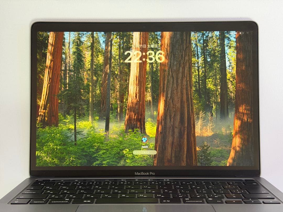 Macbook Pro M1 1TB 16GB 13インチ