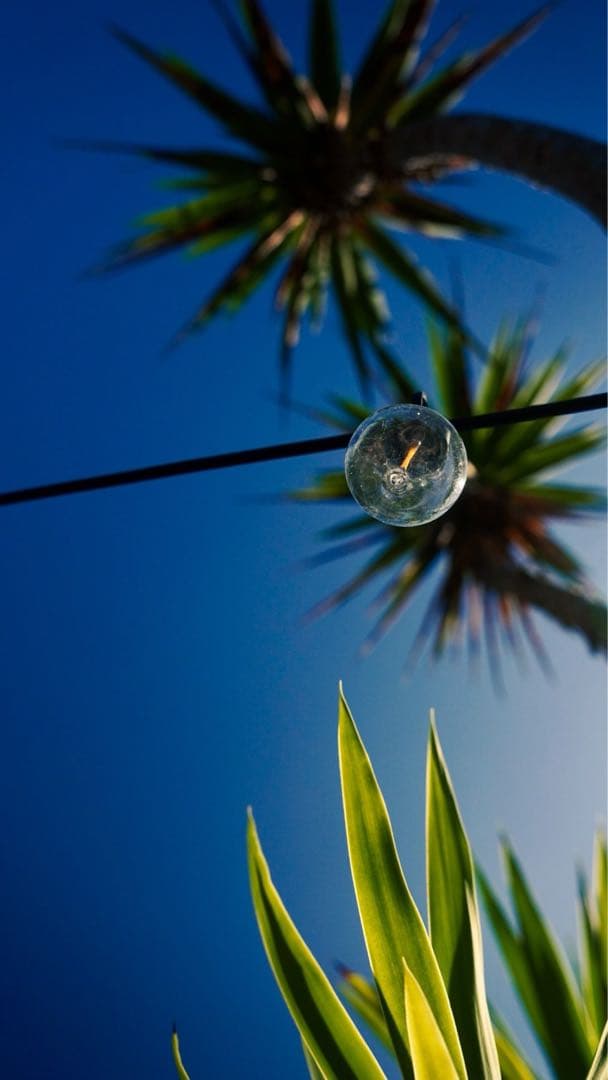 【流星光】SONY ZV-E10 + SIGMA レンズ