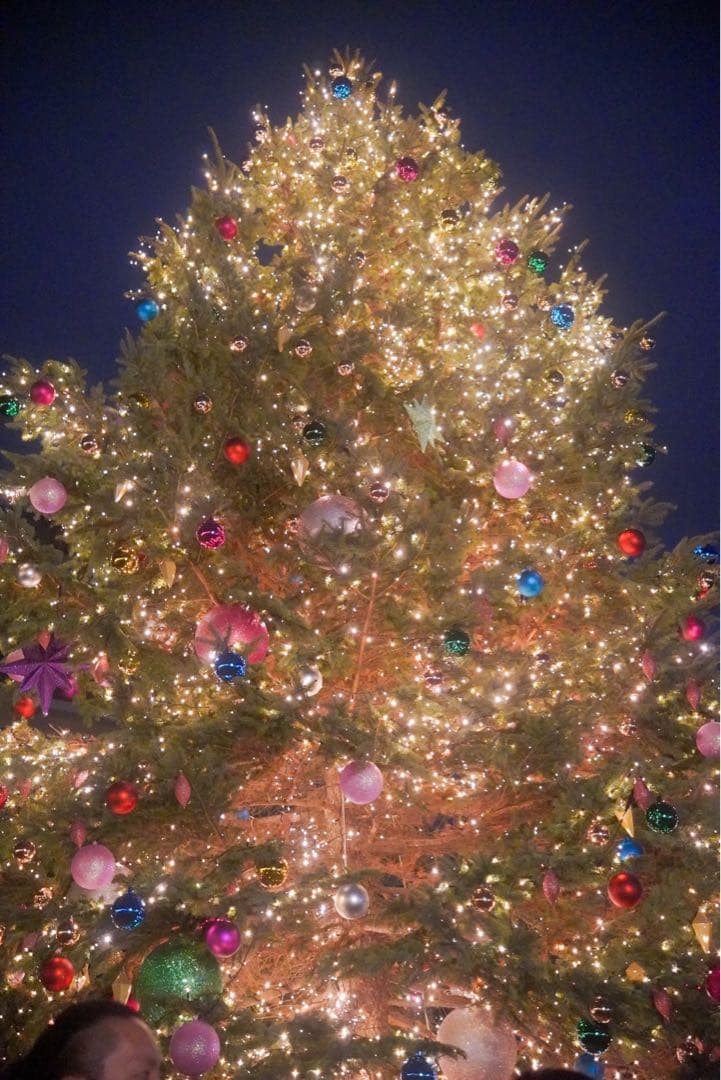 【流星光】SONY ZV-E10 + SIGMA レンズ