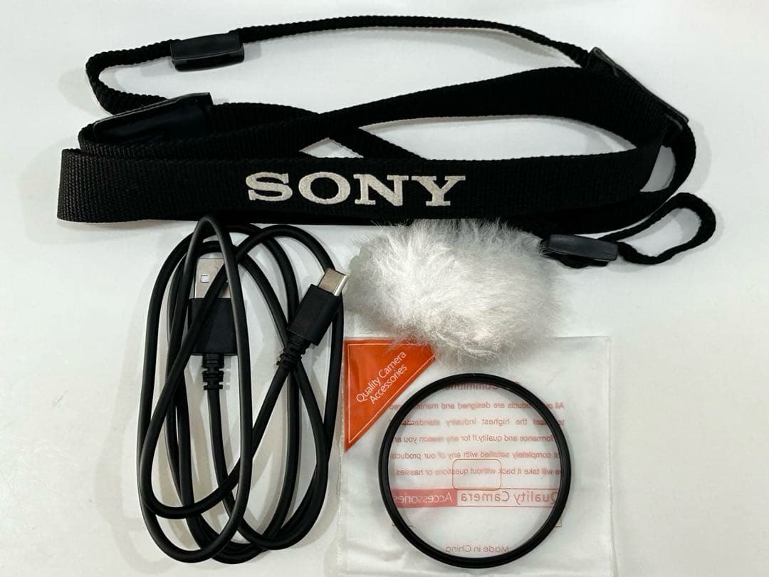 【流星光】SONY ZV-E10 + SIGMA レンズ