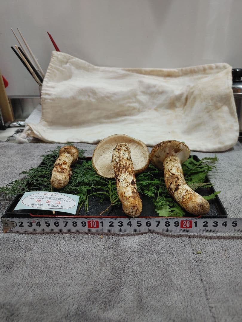 松茸　国産　宮城県　検査済み　【一級品】　つぼみ&開き