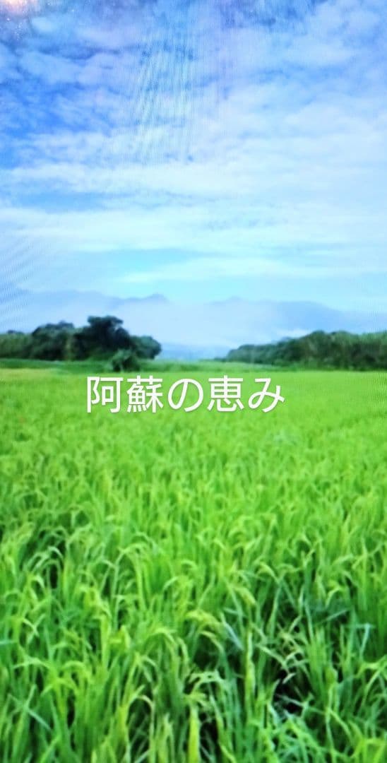 そら　R7年 自然栽培米 朝日米5kg玄米