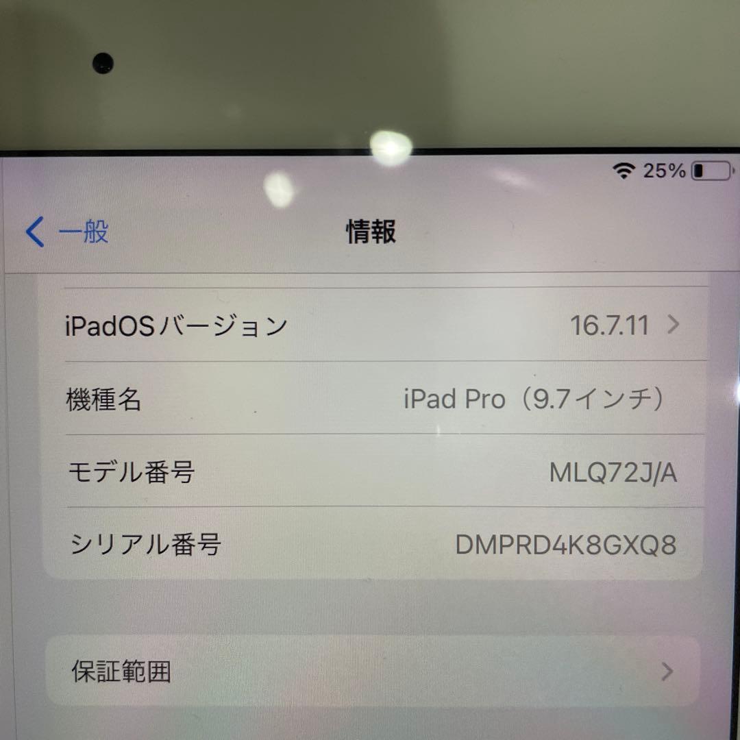 iPadPro初代 9.7 256G セルラー Apple Pencil付き
