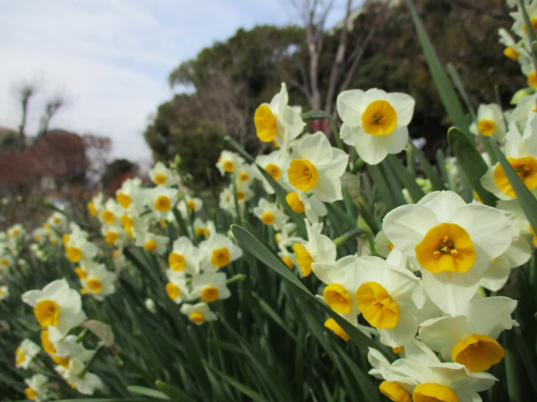 実写美⭕️【動作確認済】Canon IXY 200 PC2333 デジカメ