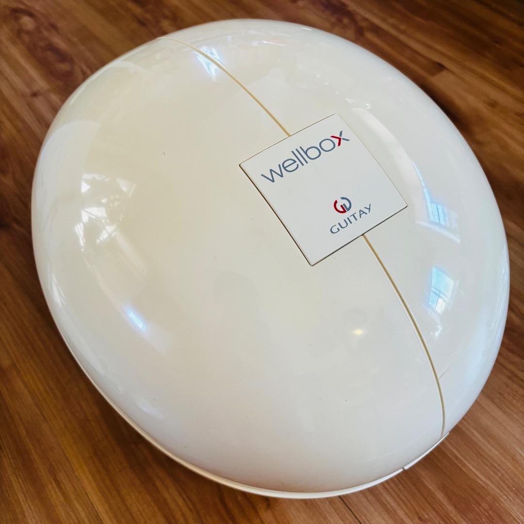 wellbox　ウェルボックス 家庭用エンダモロジー　痩身　ダイエット