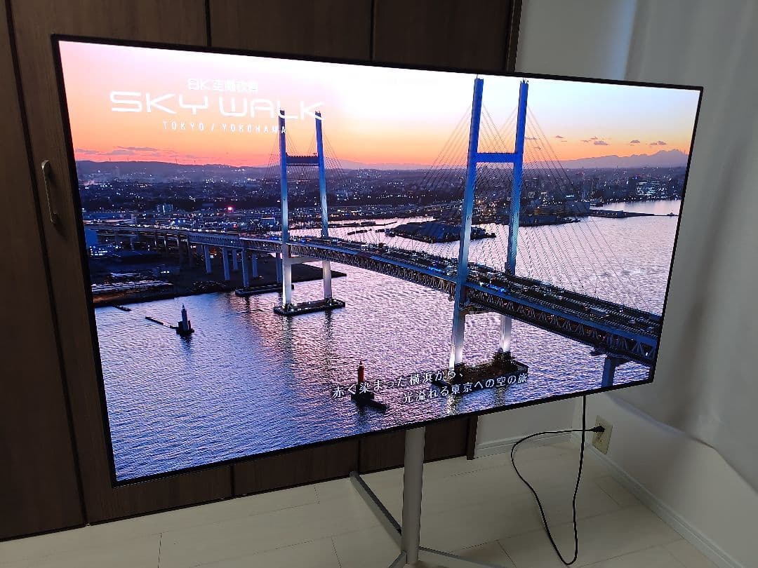 LG 55型 4K 有機EL テレビ OLED55B1PJA 2021 年モデル