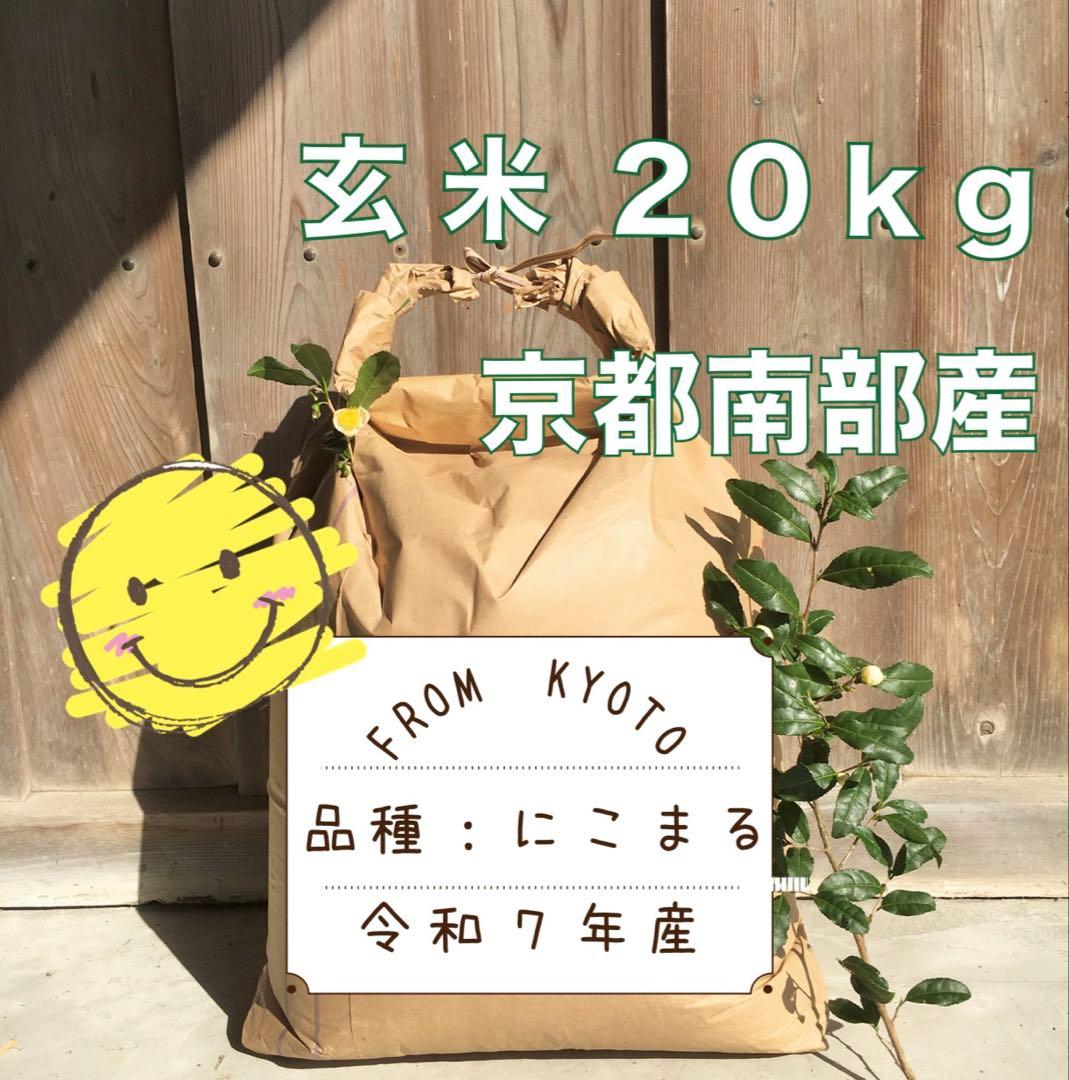 感動を呼ぶお米！新米 京都府産 にこまる 玄米 20キロ 令和7年産 農家直送