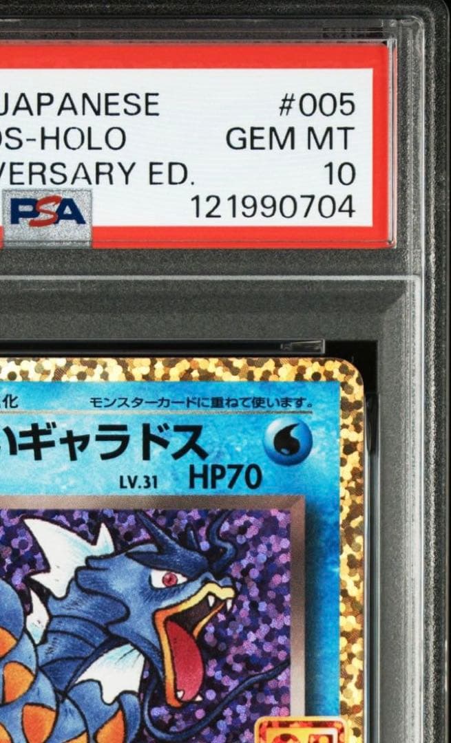 わるいギャラドス25th