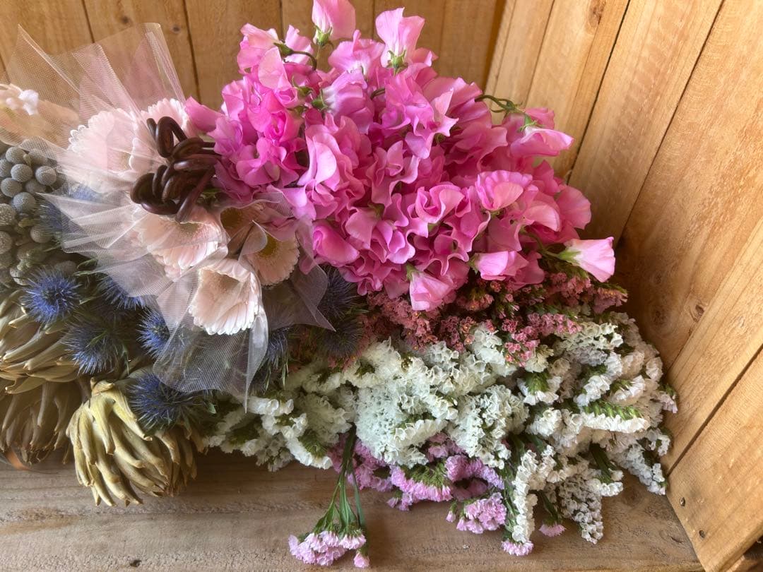 ✨年末お特MIX【C】ラナン　スイートピー　スターチス　スワッグ　生花