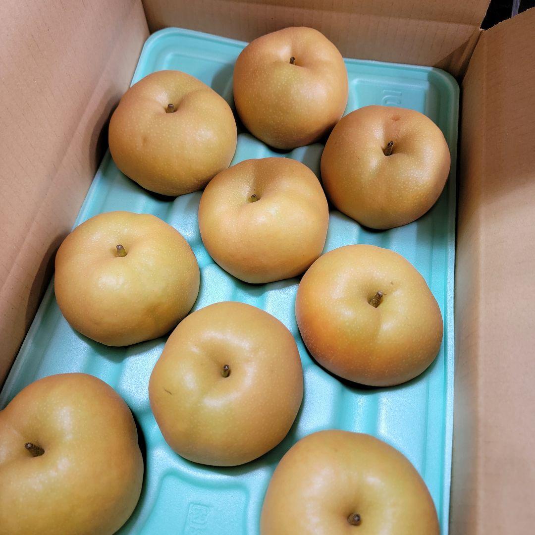 南水 ご家庭用特大 10キロ