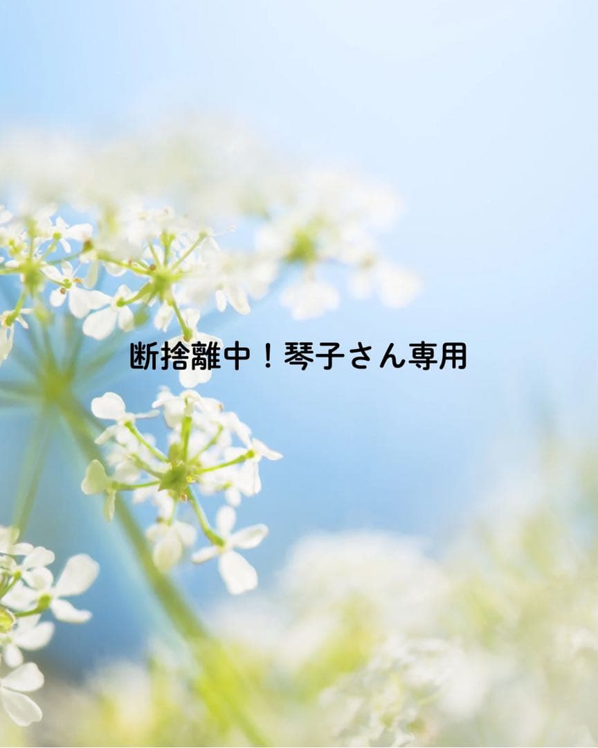 断捨離中！琴子さん専用