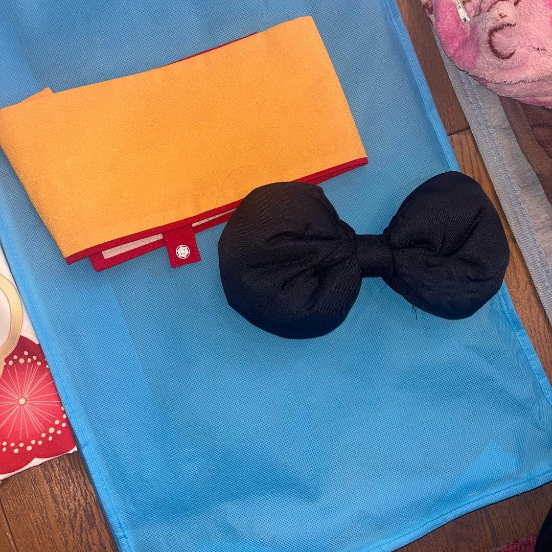 ジュニア袴Catherine Cottage 袴・帯セット 160