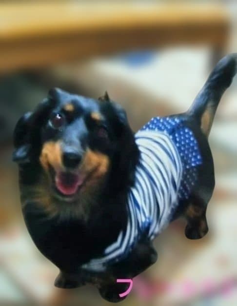 wakoです　トールペイント作品　似顔絵