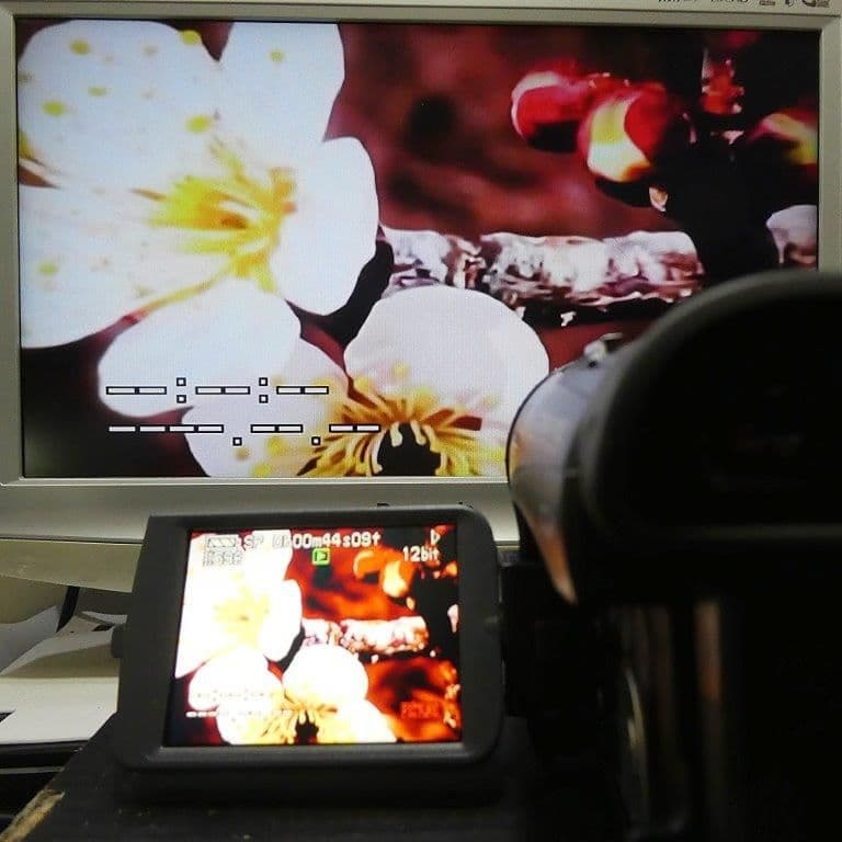 美品・動作良好 パナソニックNV-GS200 MiniDVビデオ DVD化に最適