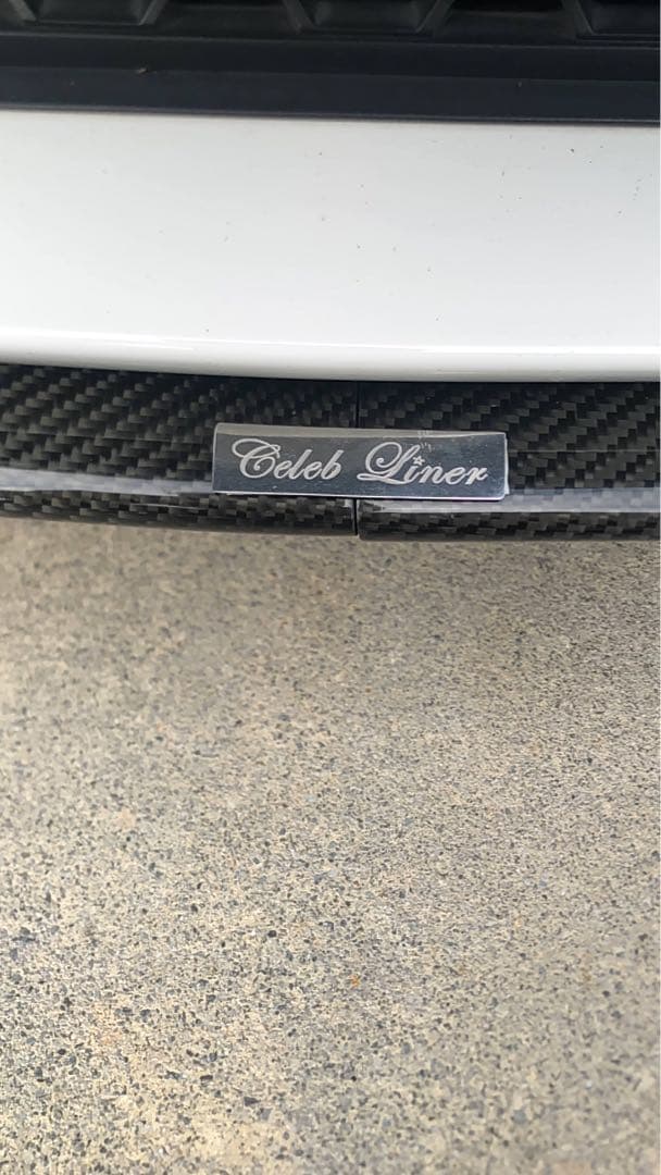  f10 フロントリップ　カーボン