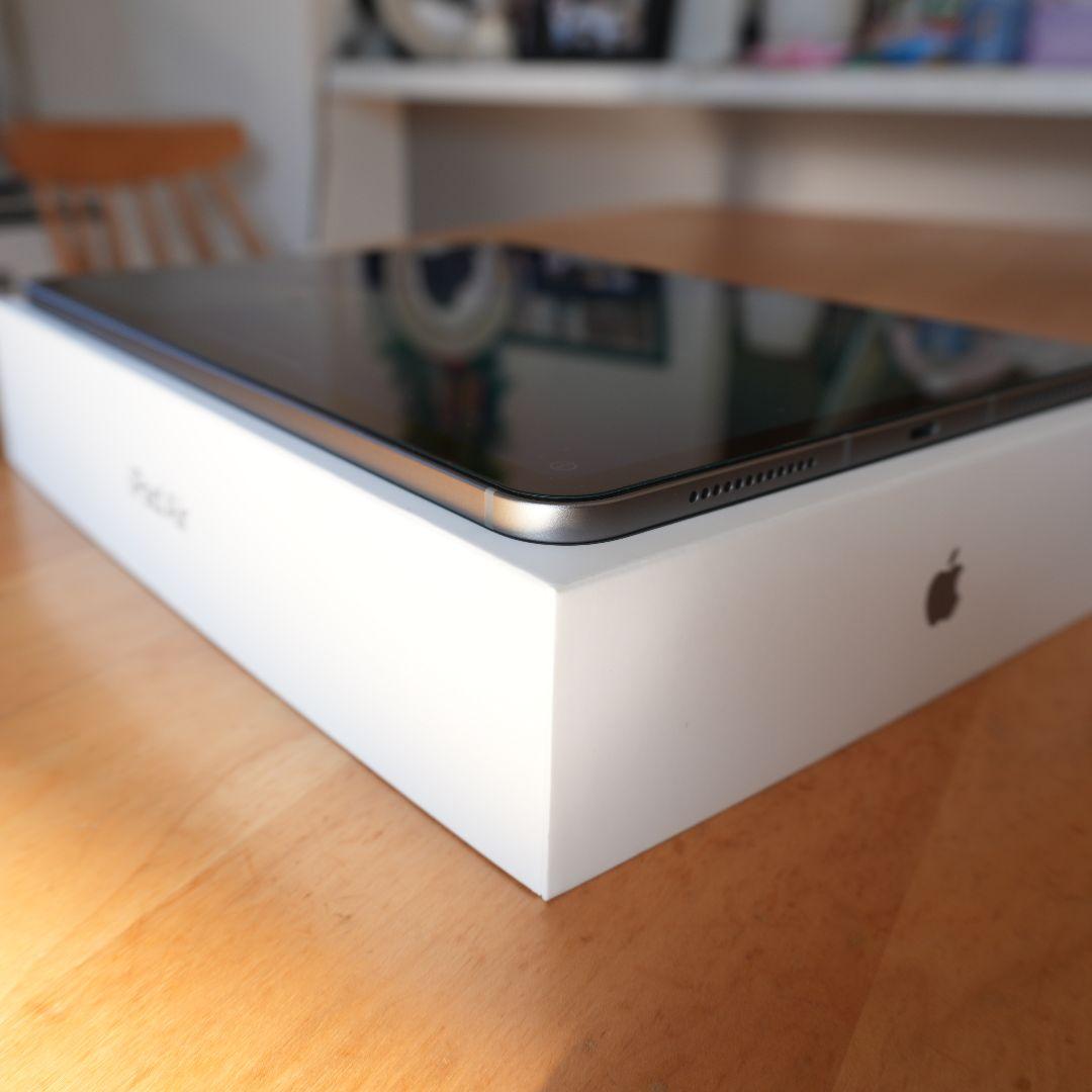 【美品】11インチiPad Air(M2) Cellularモデル 128GB