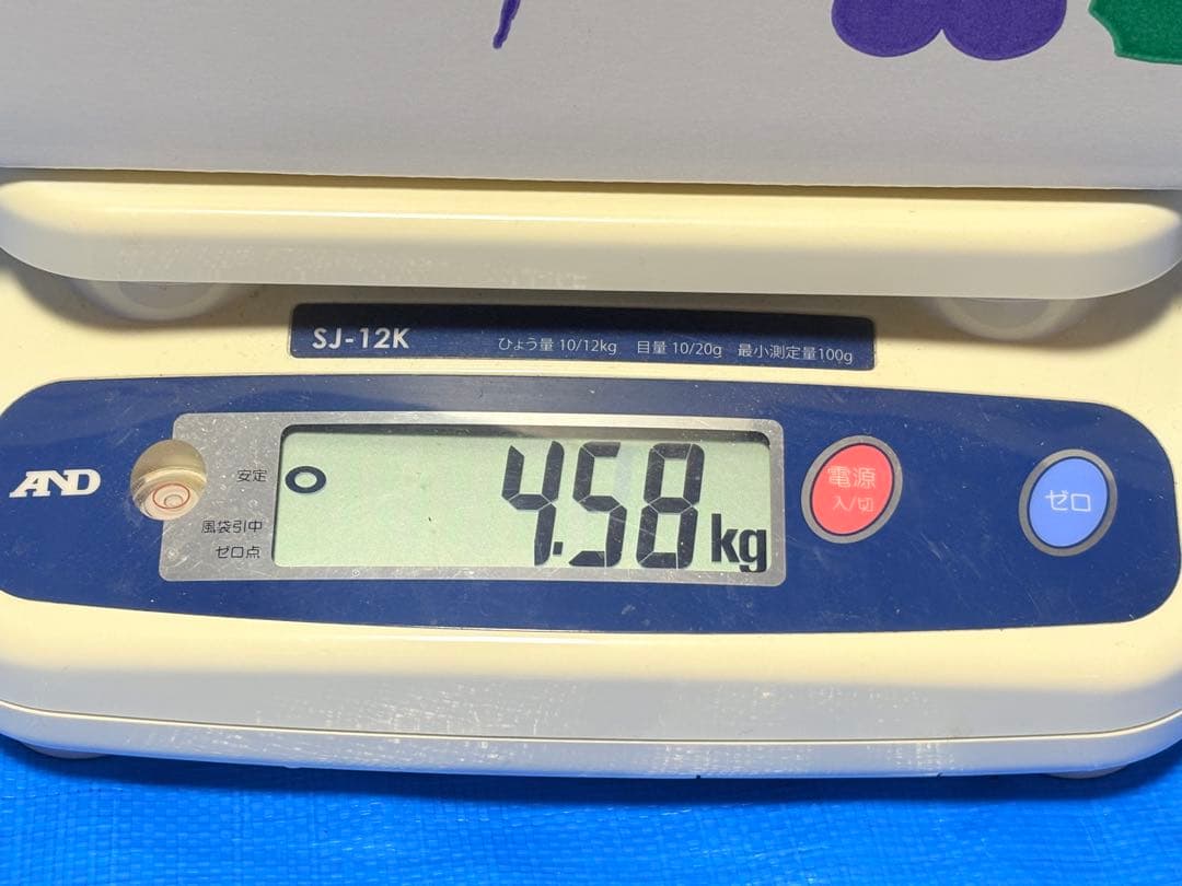 クイーンルージュ・シャインマスカット　長野県産4キロ