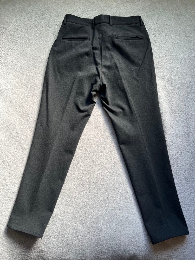 ジャブズアルキヴィオ マサッチョ サイズ50