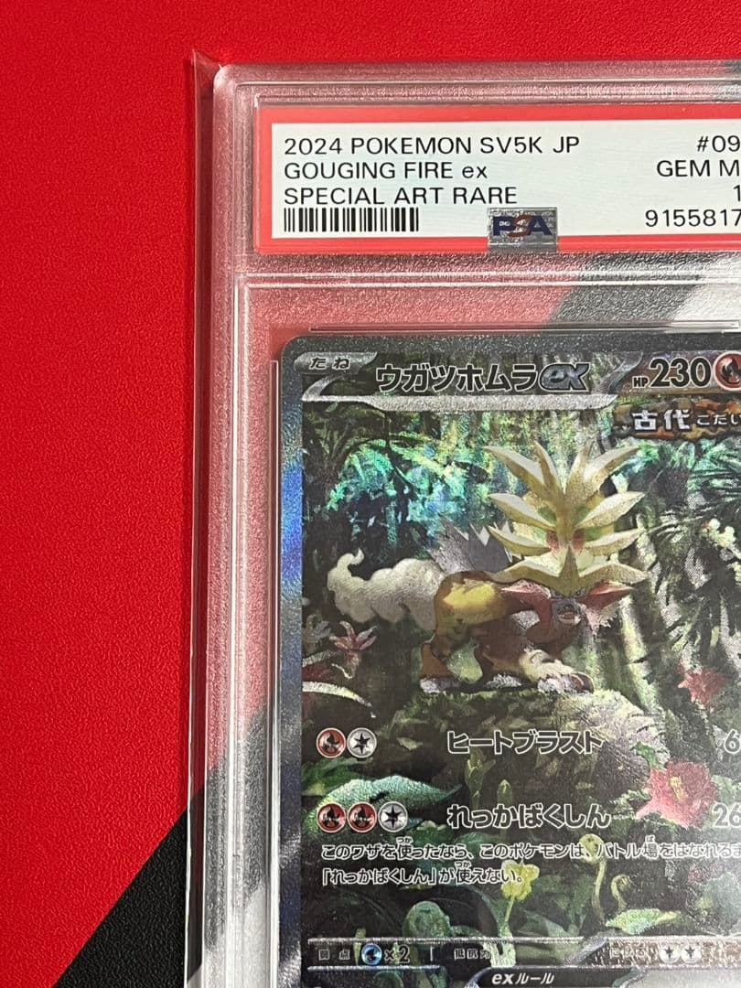 ウガツホムラSAR　PSA10　ワイルドフォース