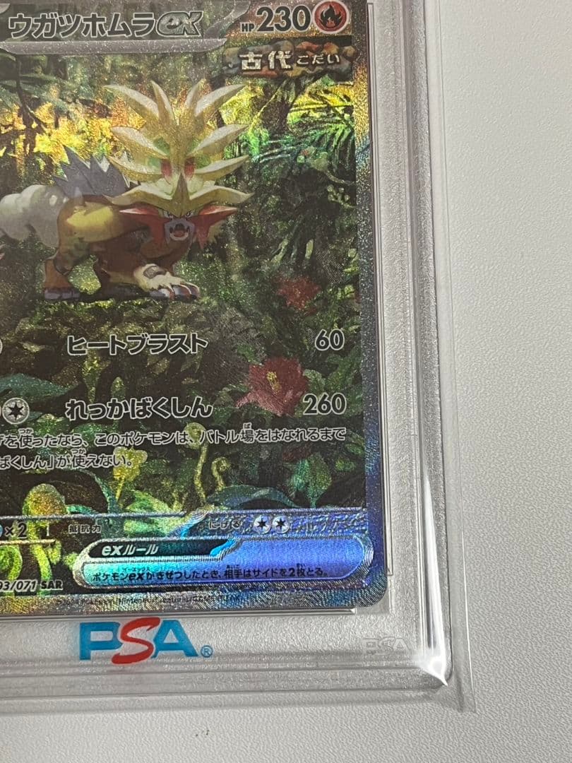 ウガツホムラSAR　PSA10　ワイルドフォース