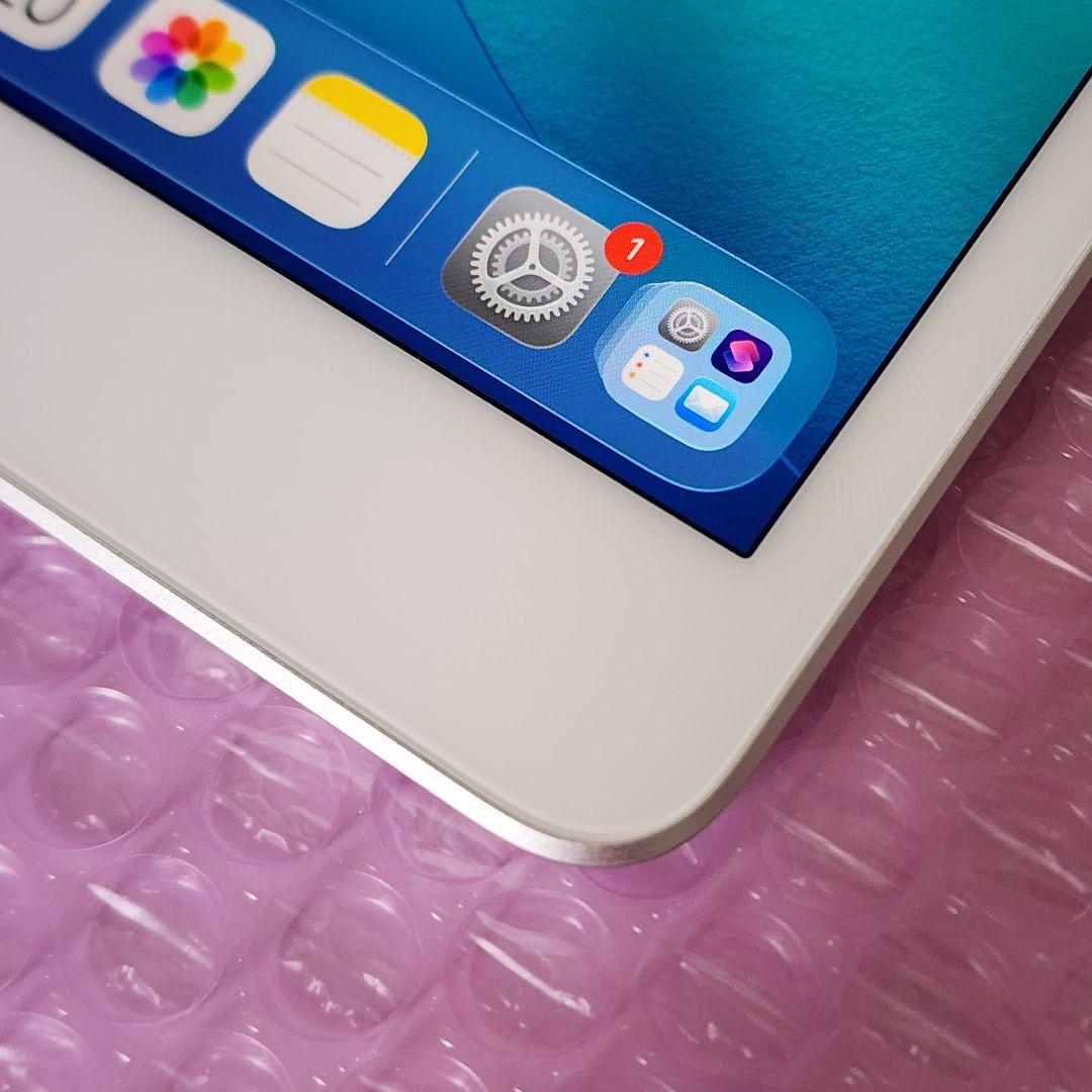 訳あり　超美品　iPad mini 第5世代　Wi-Fi　シルバー 64GB